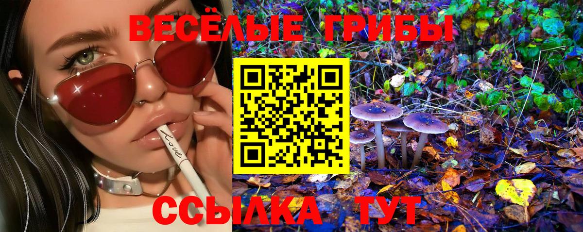 Галлюциногенные грибы мухоморы Советский